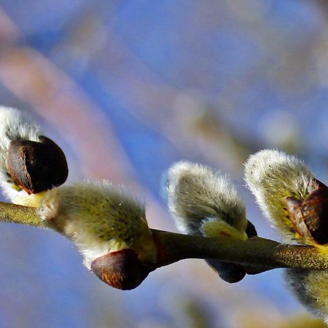 Der Countdown läuft…in einer Woche gehts los