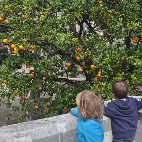 Montenegro – schön, verregnet und viel zu kurz