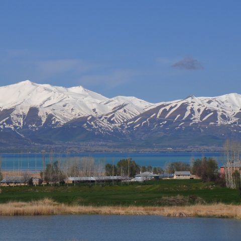 Türkei ade, Iran hello