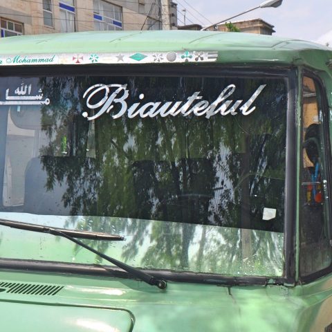 Durchs wilde Kurdistan