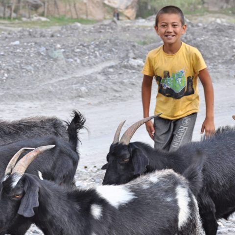 Tadjikistan – same same but different